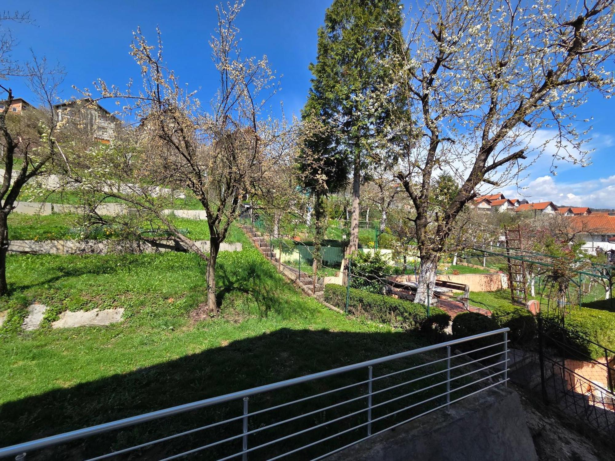 Pulse * Sarajevo