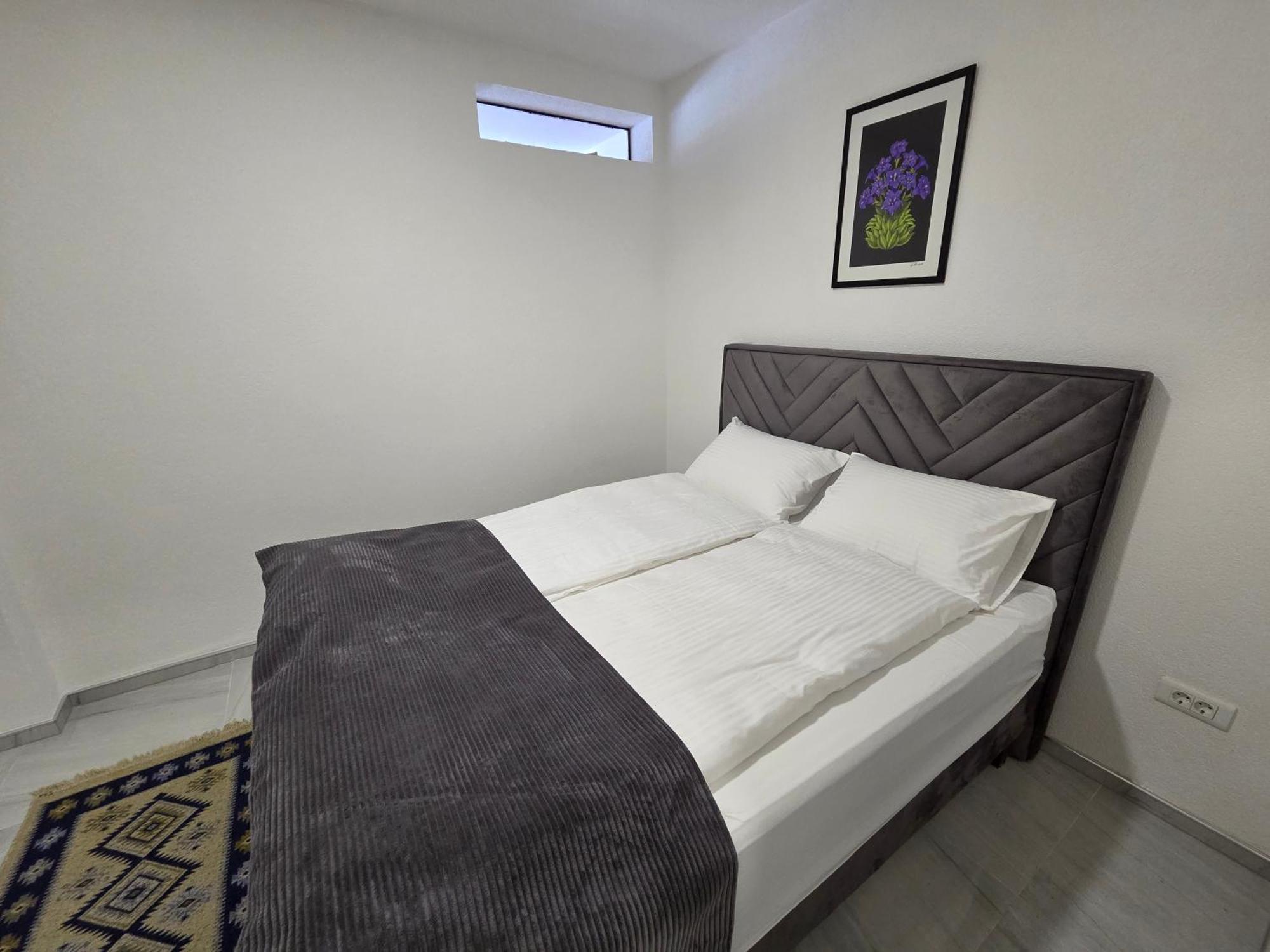 Apartment Pulse
